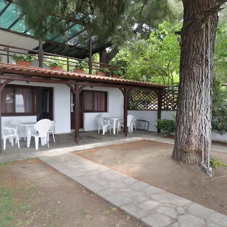 Thin Alos * Neos Marmaras