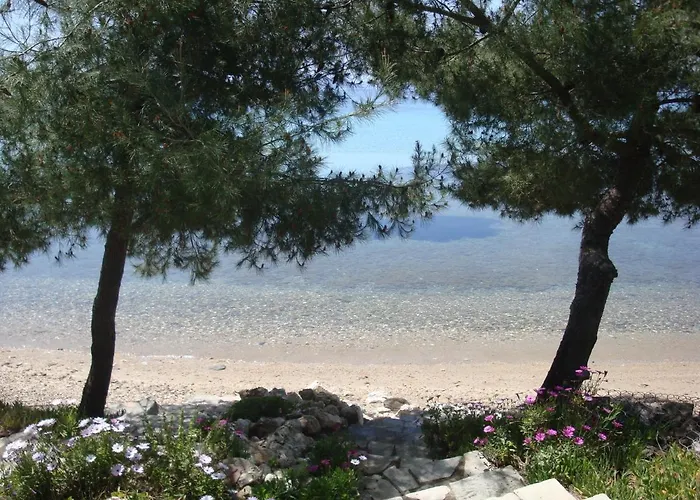 Thin Alos * Neos Marmaras