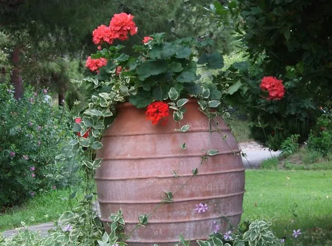 Apartamento Thin Alos *