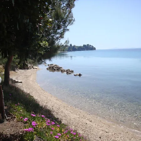 Thin Alos נאוס מרמרס