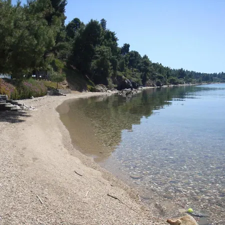 Thin Alos נאוס מרמרס