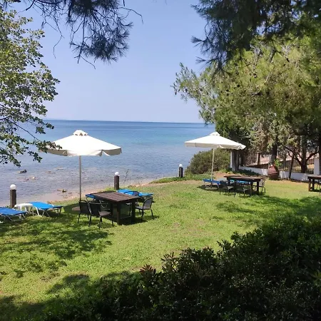 Thin Alos נאוס מרמרס