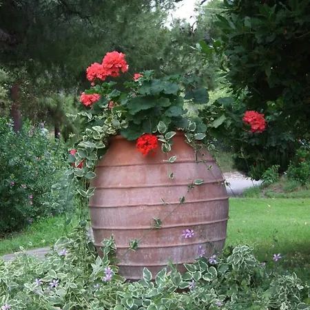 Appartement Thin Alos *