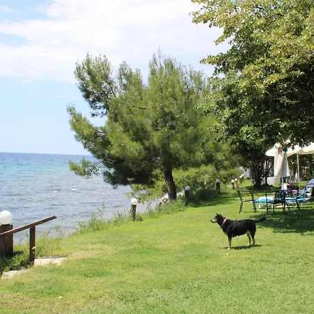 Thin Alos Appartement Neos Marmaras