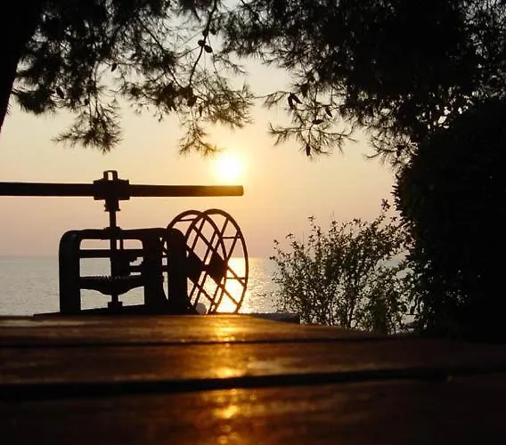 Apartamento Thin Alos *