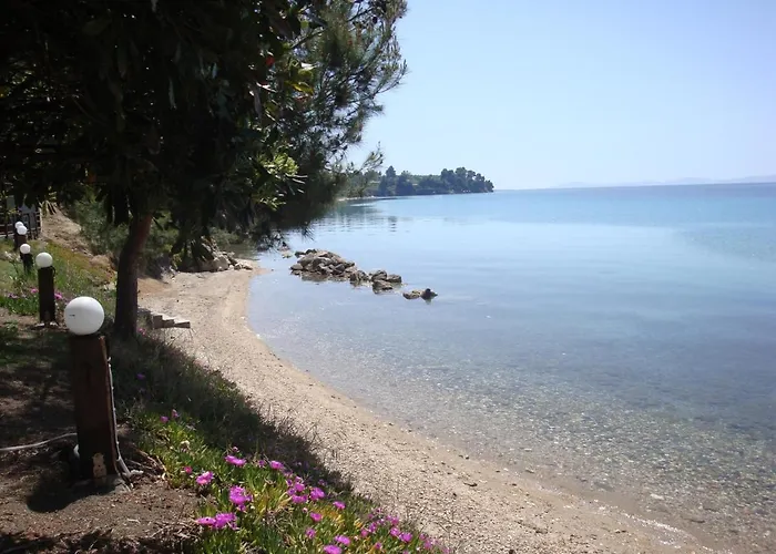 Thin Alos Néos Marmarás